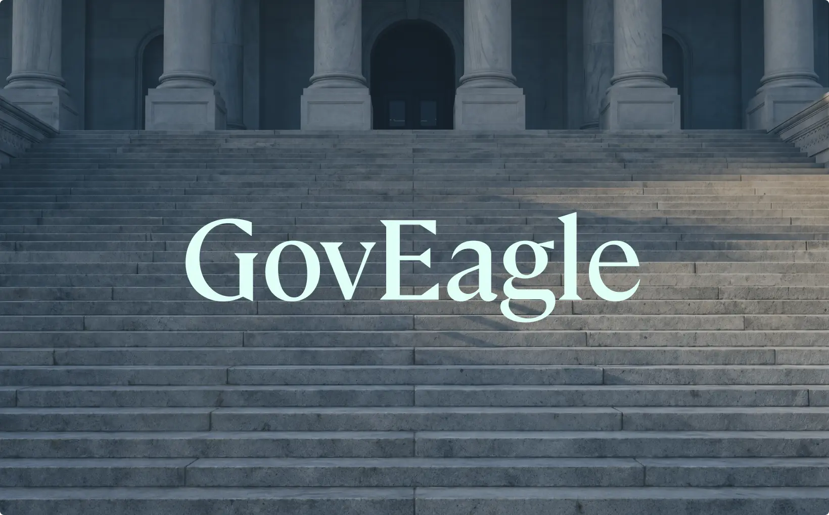 GovEagle identity on stone steps
